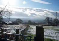 100 1354 Field in the snow