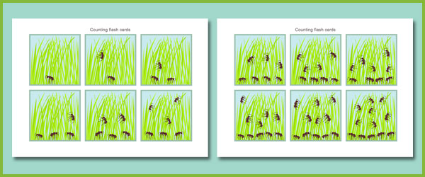 Counting Flash Cards – Ants | Free Early Years & Primary Teaching
