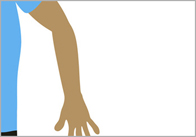 arm Arm