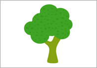 broccoli Broccoli