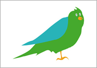 budgie Budgie