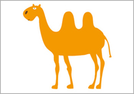 camel Camel