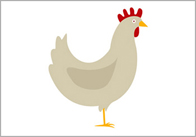 chicken Chicken