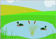 pond5 Pond 
