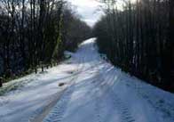 snow2 Country lane in the snow