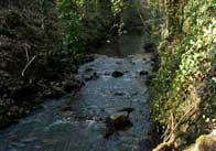 stream 3 Stream