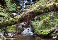 stream 5 Stream 2
