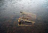 trolley 2 Trolley in the river 2