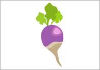 turnip Turnip