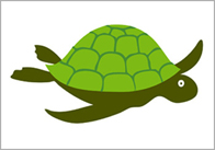 turtle Turtle