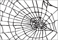 web21 Web 2