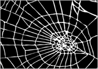 web5 Web