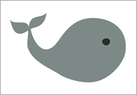 whale Whale