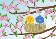 Apple blossom Apple Blossom