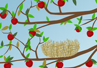 Apples in autumn Apples on the Tree
