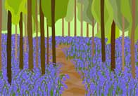 Bluebells in forest Bluebells in Forest