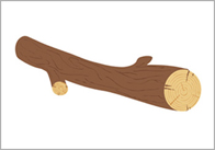 log Log