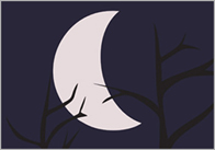 moon Moon