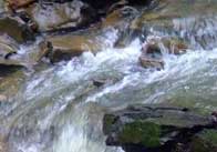 DSCF5723 Stream