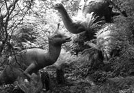 Dinosaurs 21 Dinosaurs 2