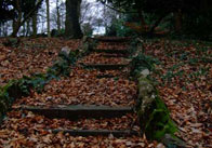 Steps in Autumn Steps in Autumn