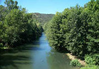 Tree lined river1 Tree Lined River