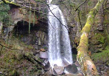Waterfall Waterfall  