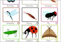Minibeast spotter sheet thumb Minibeast Spotter Sheet