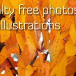 Photos-and-illustrations(autumn)