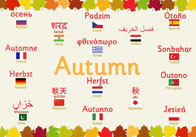 multilingual autumn thumb Multilingual Autumn Poster