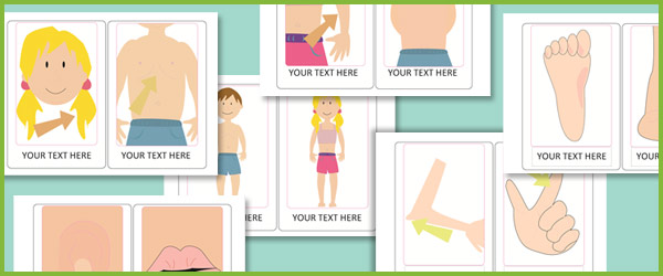 Editable Body Parts Cards