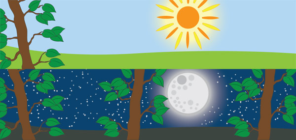 The Very Hungry Caterpillar Small World Backdrop | Free Early Years