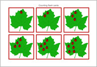 Counting Flash Cards – Ladybirds