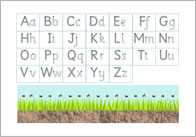 Letter Formation
