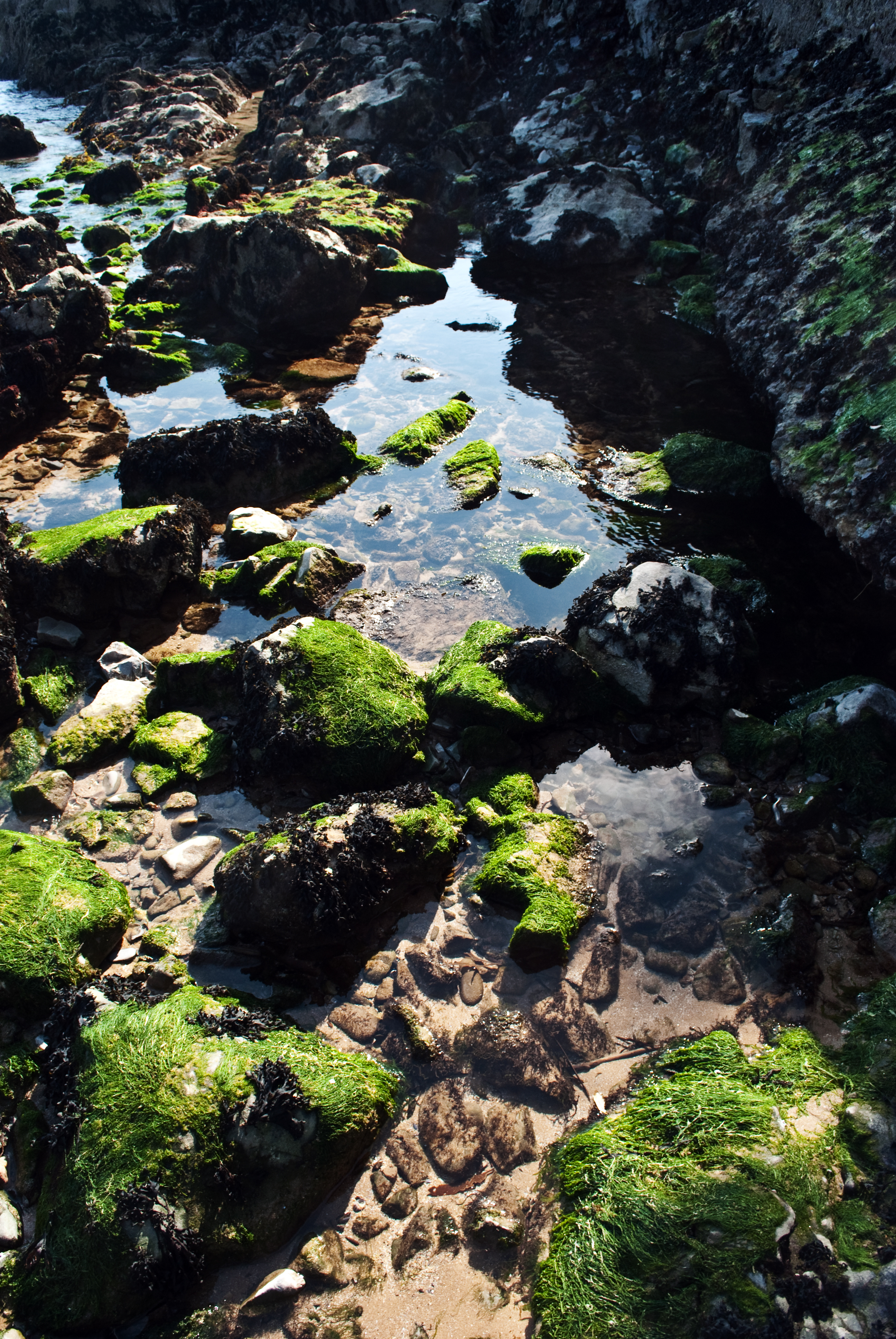 Early Learning Resources Rockpool 2 Free Early Years And Primary 