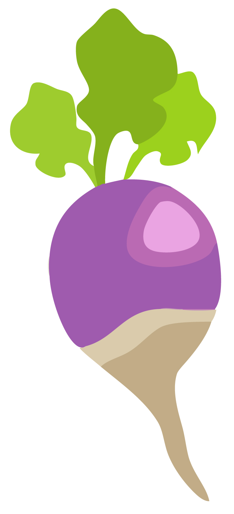 Early Learning Resources Turnip Free Early Years and Primary Teaching