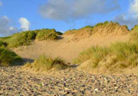 Sand Dunes