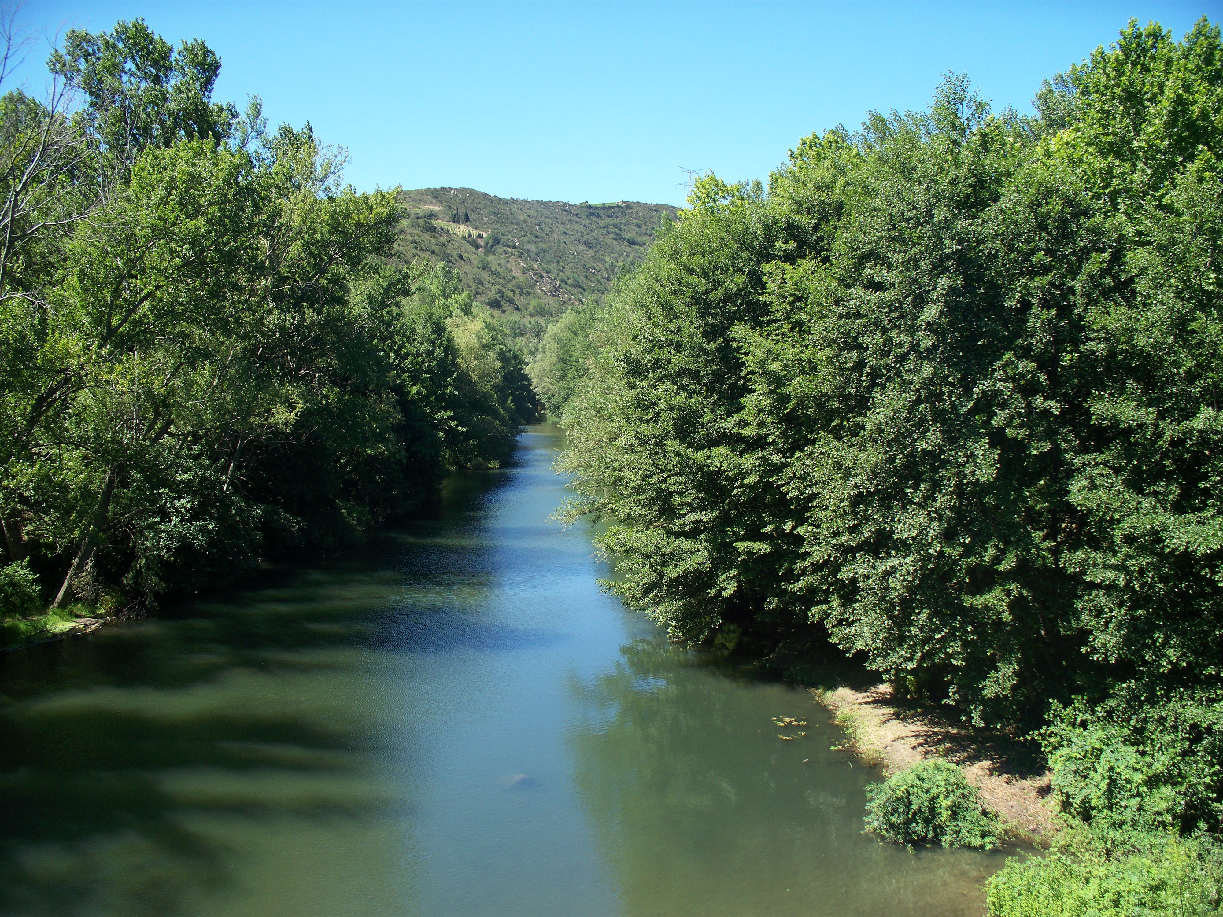 Tree Lined River  Free Early Years & Primary Teaching 