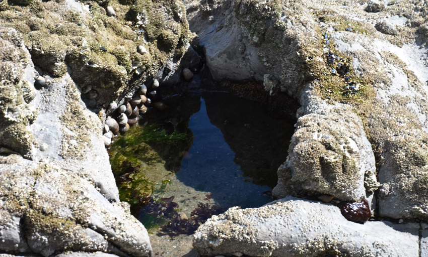 Early Learning Resources Rockpool Free Early Years And Primary 