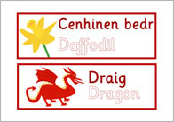 St David’s Day Picture Cards