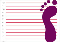 Shoe Size Chart