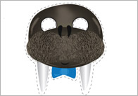 Arctic / Antarctic Animal Masks
