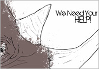 Endangered Species Posters