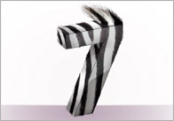 3D Animal Print Numbers
