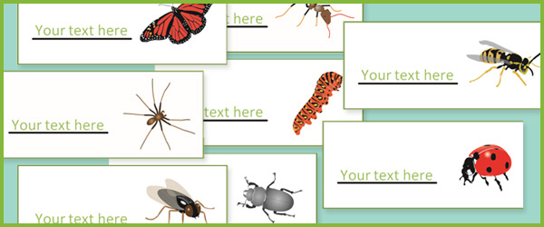 Minibeast / Insect Labels
