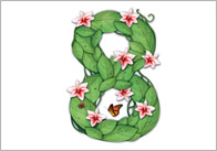 Floral Display Numbers