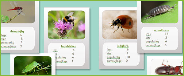 Minibeast top trumps