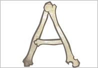 Bone Themed Letters (Upper case)