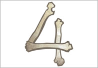 Bone Themed Numbers