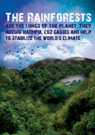 Early Learning Resources Rainforests Poster